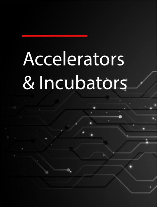 Accelerators and Incubatorsv2
