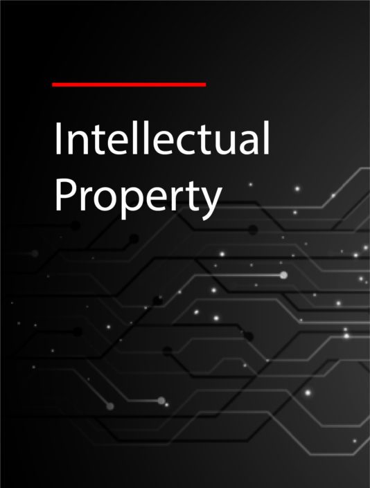 Intellectual Propertyv2