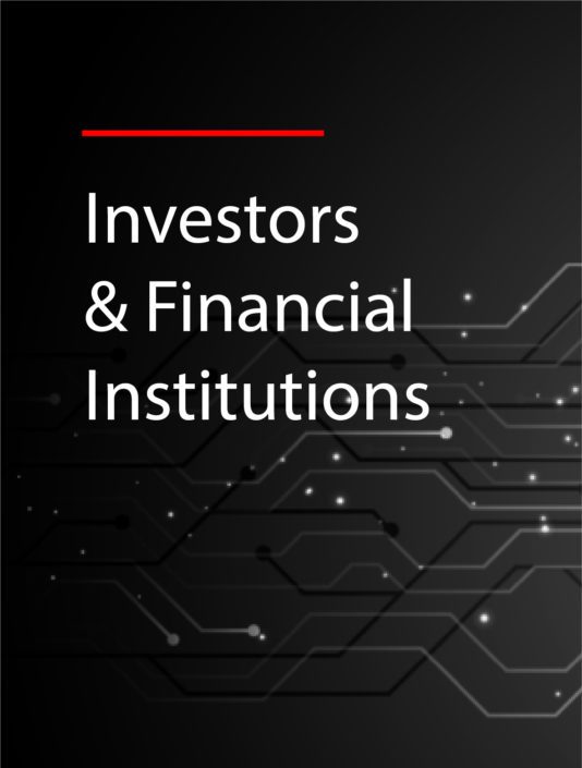 Investors and Financial Institutionsv2